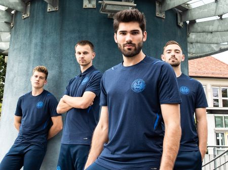 Afbeelding voor categorie Shirt LM